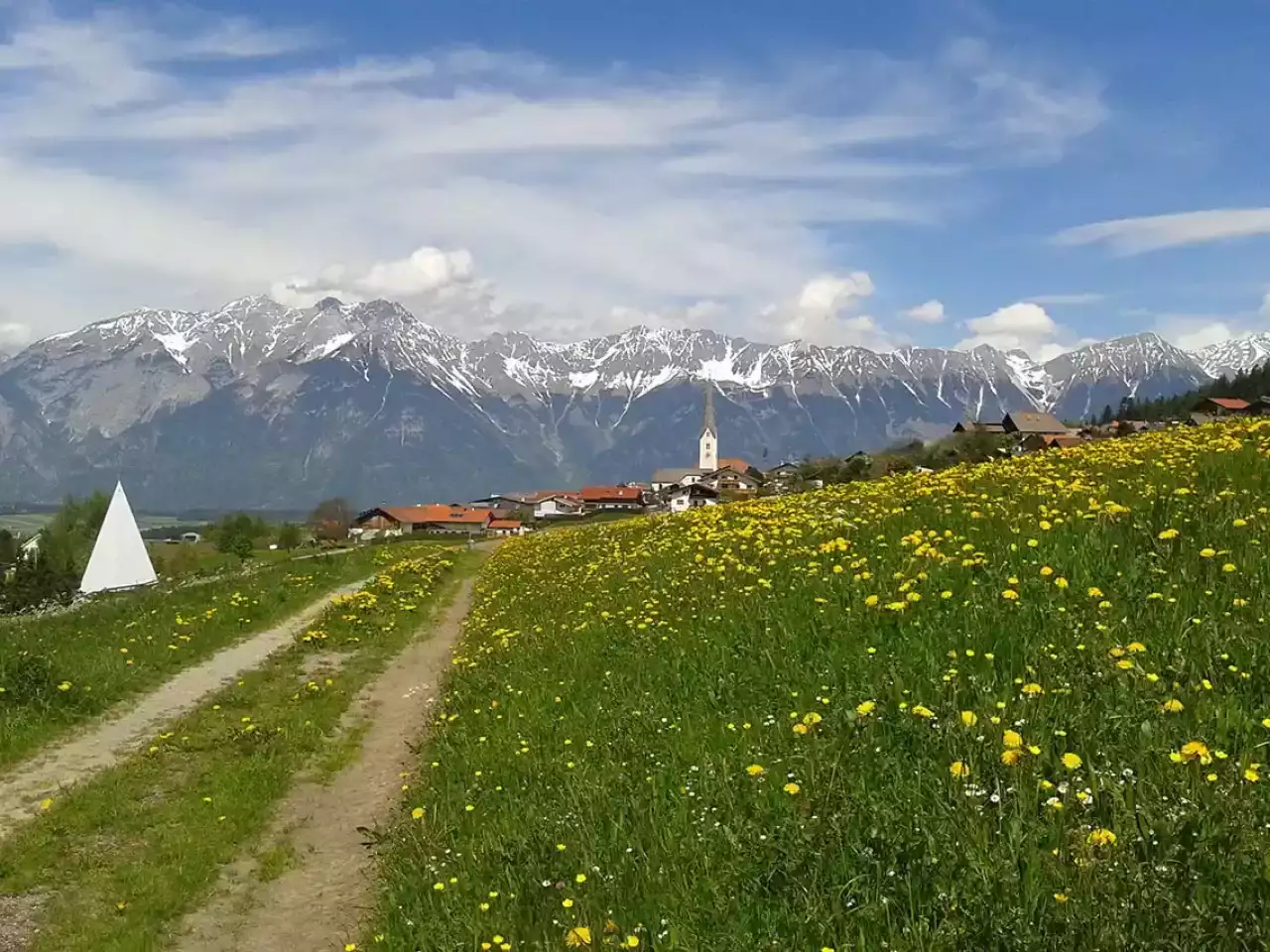 Blick auf Patsch mit Wiese und gelben Blumen
